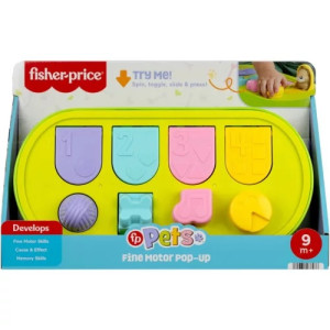 Fisher Price JDL66 Lavinamasis žaislas