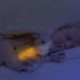 Zazu Bo Minkštas žaislas - naktinė lemputė